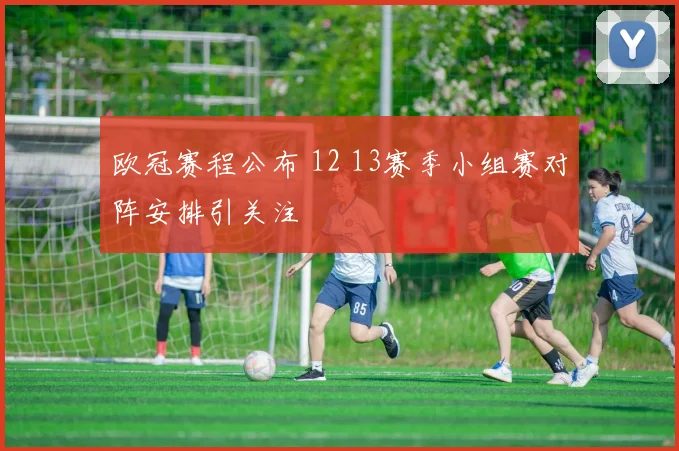 欧冠赛程公布 12 13赛季小组赛对阵安排引关注